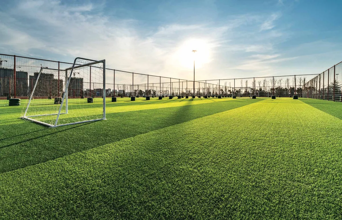Mana Skanda The Right Life sports arena and playing field